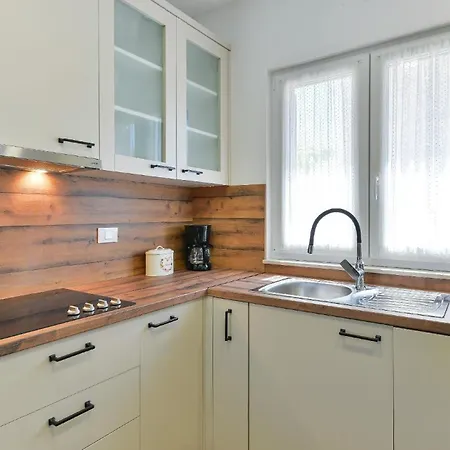 Ferienhaus In Privlaka Mit Privatem Pool - B61955 別荘 *